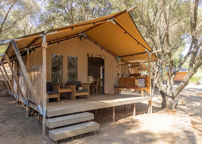 Vigna Maggiore Olmeto (Corsica)