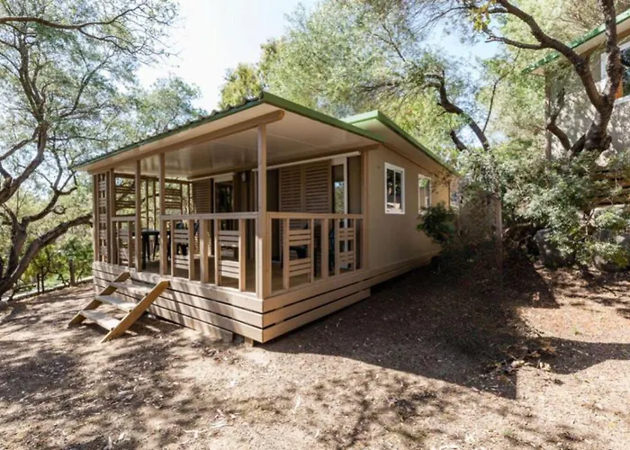 Vigna Maggiore Olmeto (Corsica)