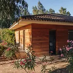 Vigna Maggiore אתר קמפינג אולמטו