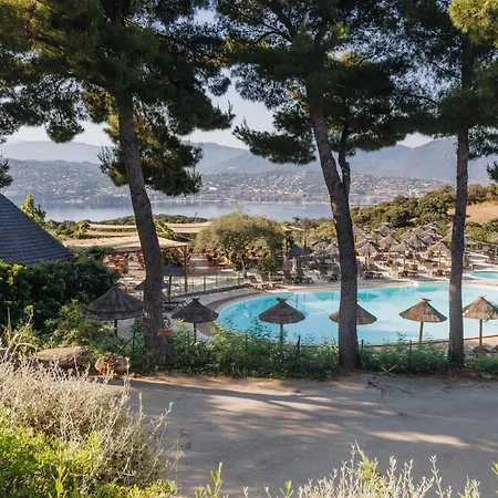 Vigna Maggiore Olmeto (Corsica)