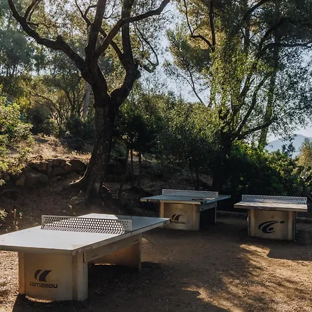 Vigna Maggiore Olmeto (Corsica)