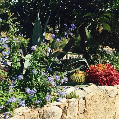 Vigna Maggiore 3* Olmeto (Corsica)