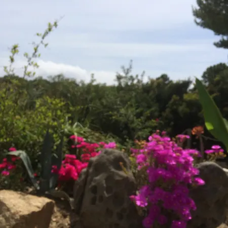 Vigna Maggiore Campsite Olmeto (Corsica)