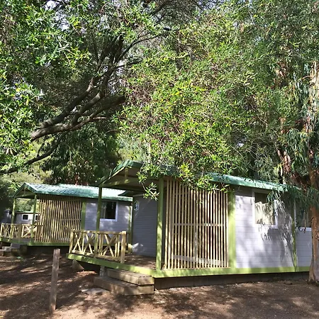 Vigna Maggiore Кемпинг Ольмето