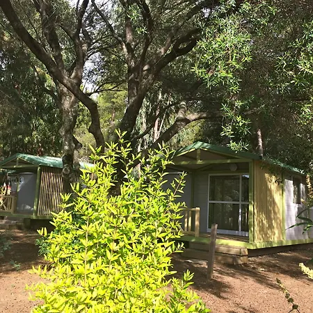 Vigna Maggiore Ольмето