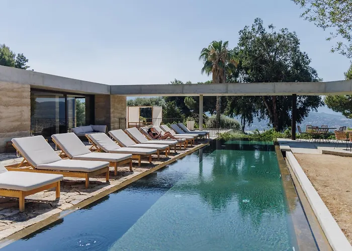 Kemp Vigna Maggiore Olmeto (Corsica)