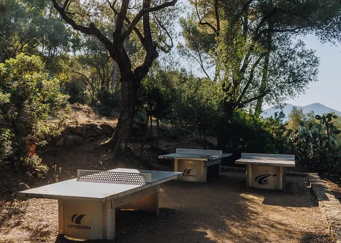 Vigna Maggiore Olmeto (Corsica)