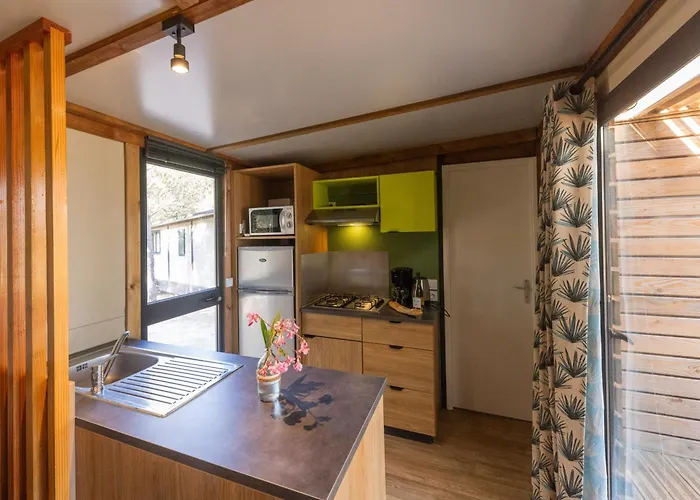 Kemp Vigna Maggiore Olmeto (Corsica)