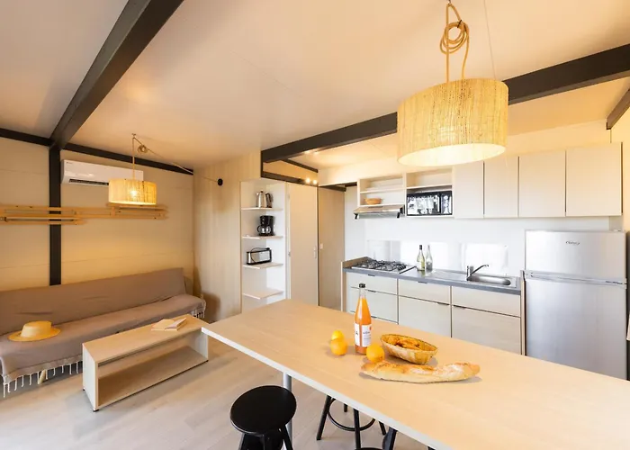 Vigna Maggiore Olmeto (Corsica)