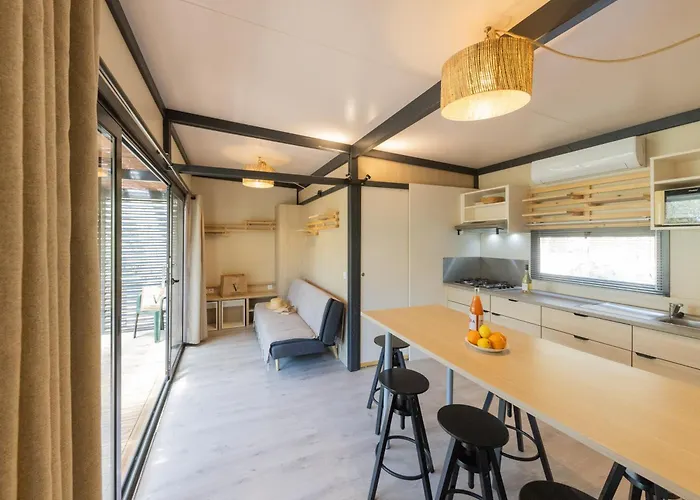 Vigna Maggiore Kemp Olmeto (Corsica)