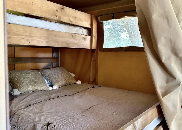 Vigna Maggiore Olmeto (Corsica)