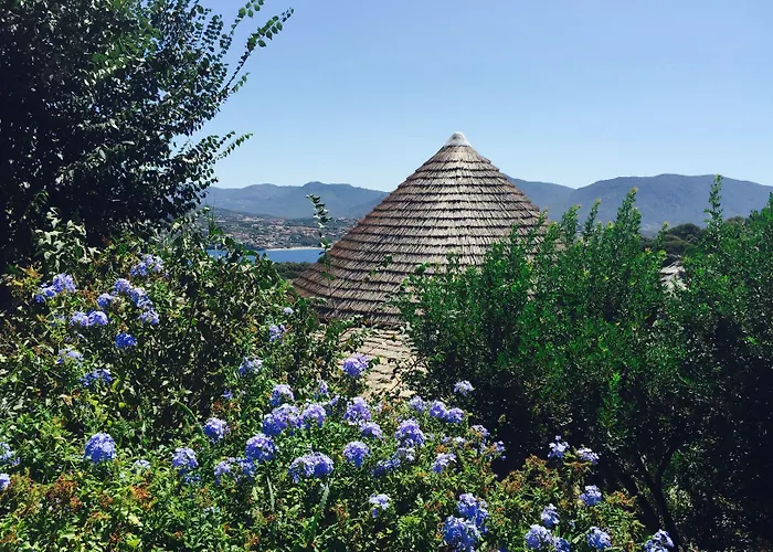 Vigna Maggiore Kemp 3*